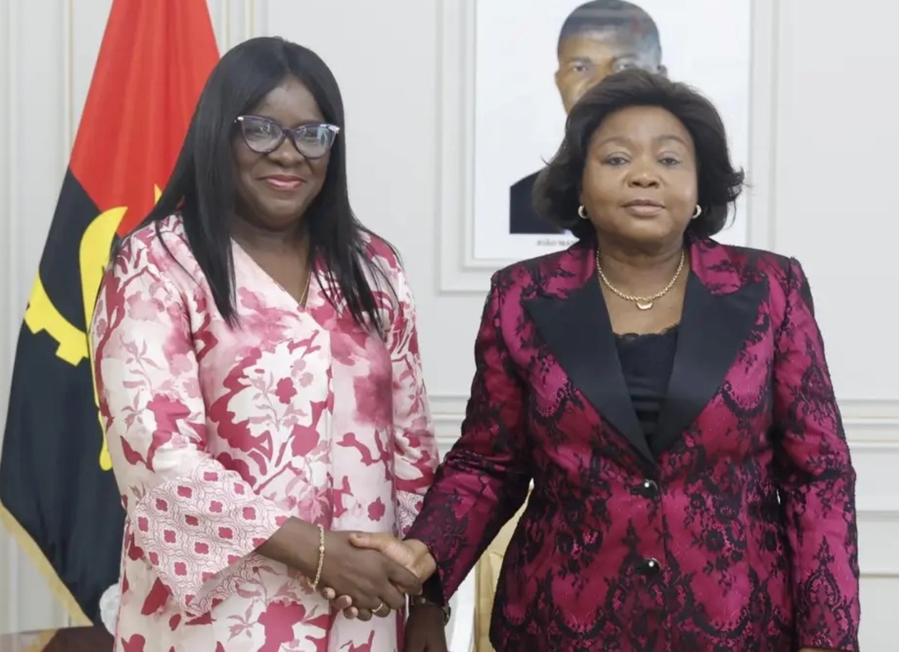 Classe médica carece de investimentos contínuos em formação, relata bastonária