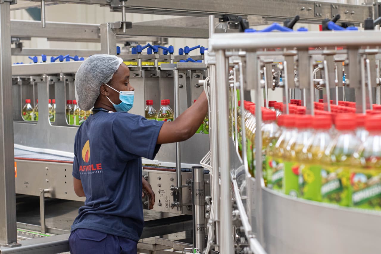 Produção nacional de óleo alimentar “cresce com políticas de incentivo”